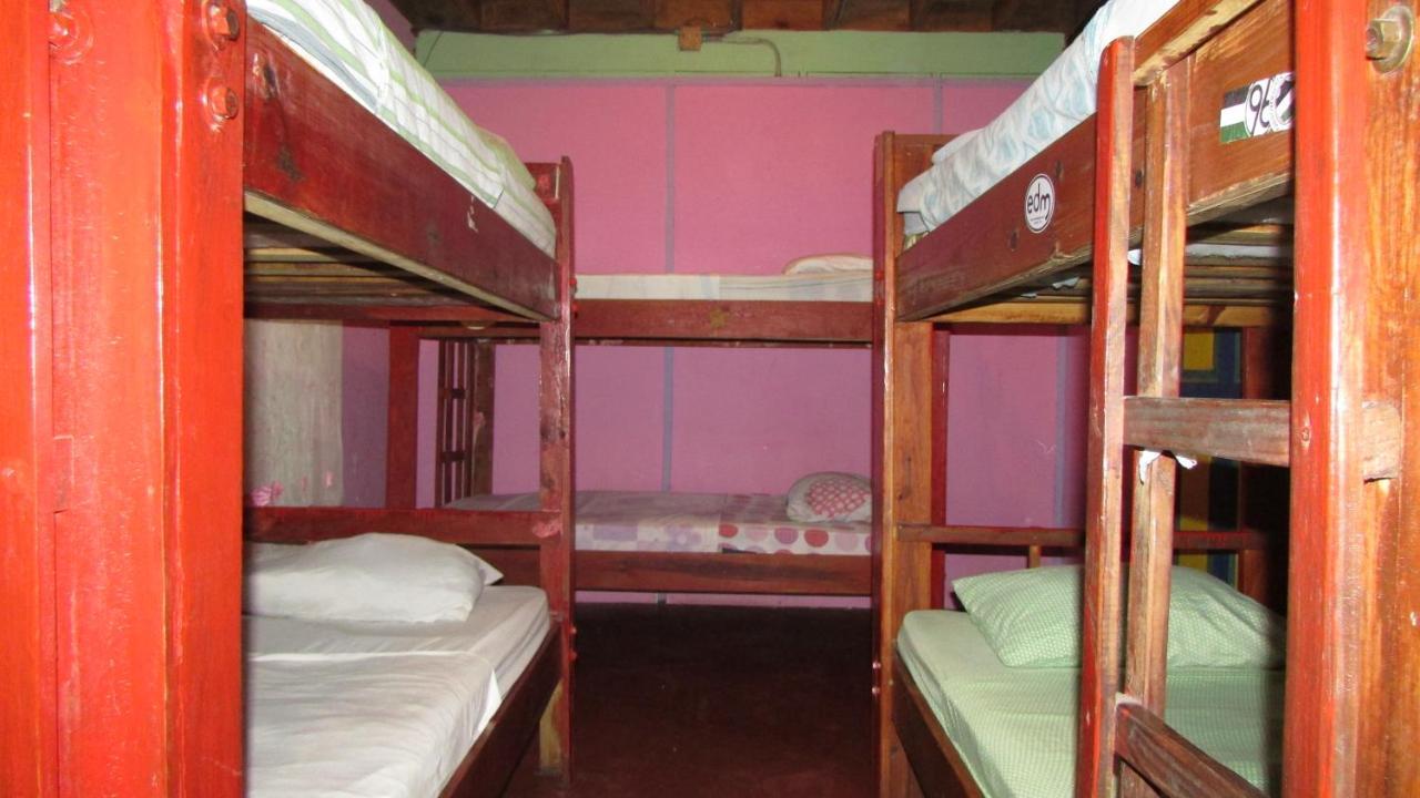 Coconut Hostel Bocas Town Exterior foto